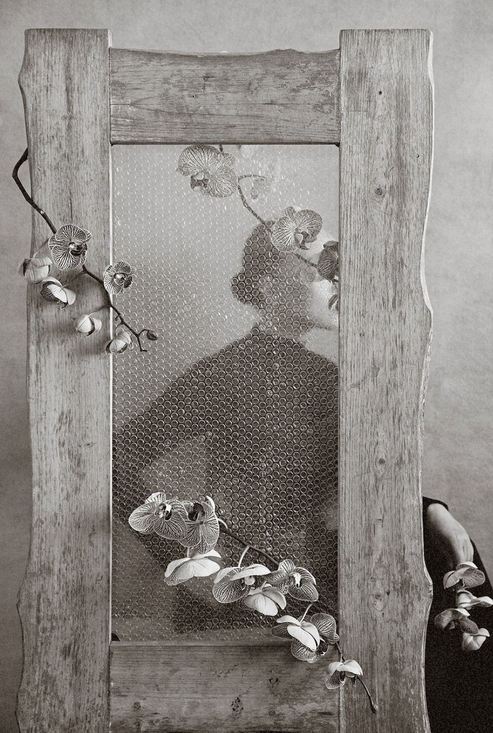 Veiled Bloom​ - II by Xidong Luo