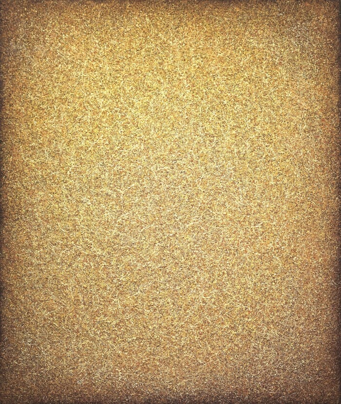 A Peaceful Mind in Gold by Heidi Thompson