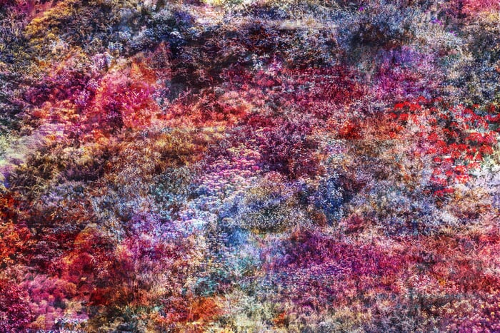 Wall of Nature XVII by Viet Ha Tran