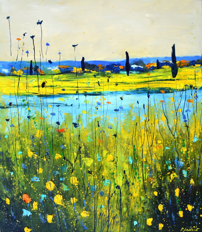 Colourful meadow  von Pol Ledent