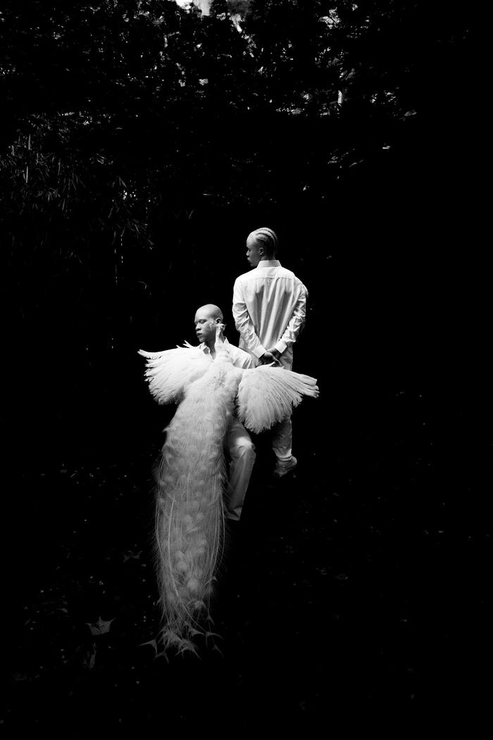 Of Feathers and Flesh von Yannis Guibinga