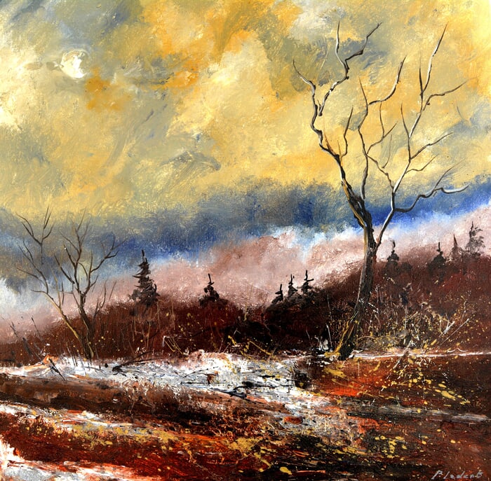 Moonshine in winter by Pol Ledent