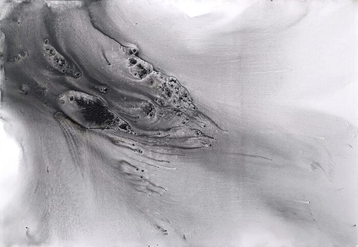 Nature 533 von Muriel Napoli