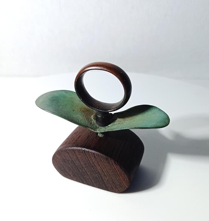 Eclosion von Gaël Rouxeville