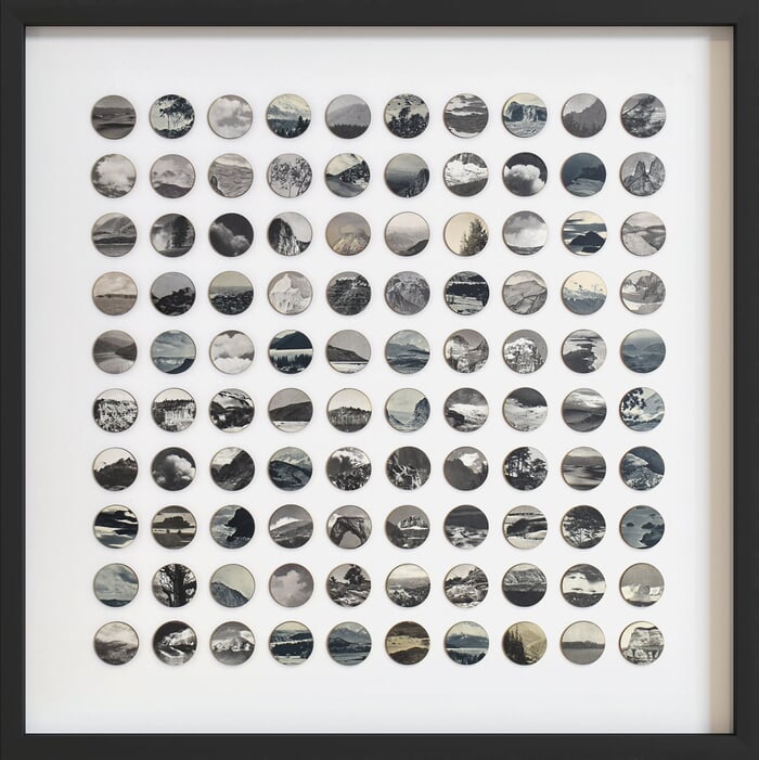 Wildlands von Amelia Coward