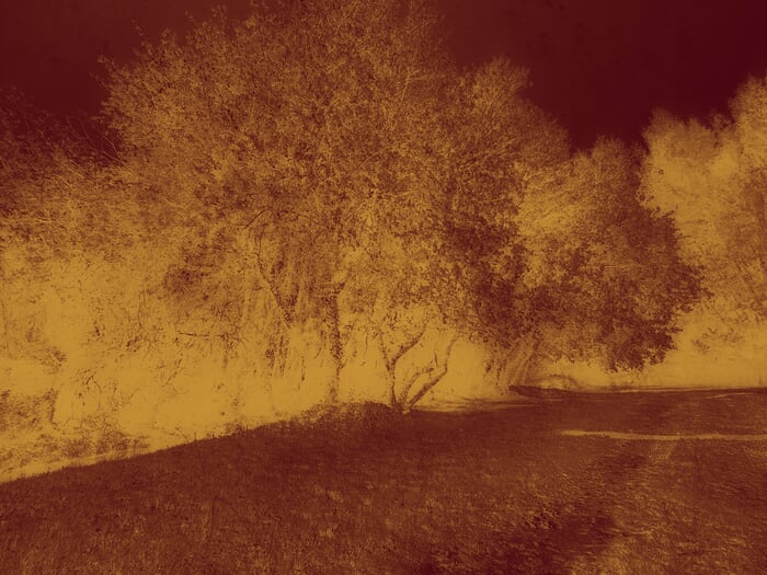 Echoes in Gold IV by Viet Ha Tran