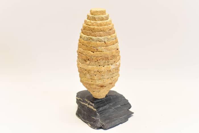  COCON DORÉ von Marc Mugnier