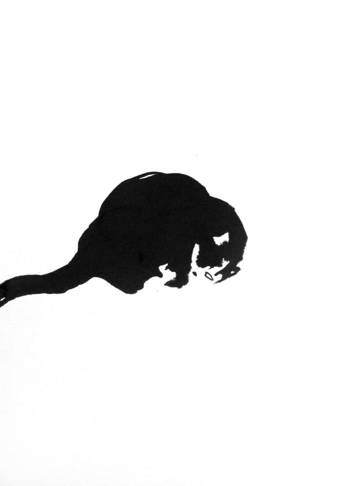 Chat dormant par Sylvia Baldeva