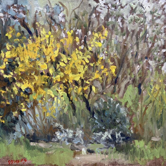 Massif jaune by Géraldine Morales