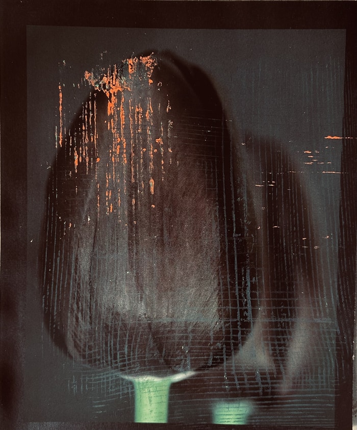 FlowerX by Beatrice Wolff