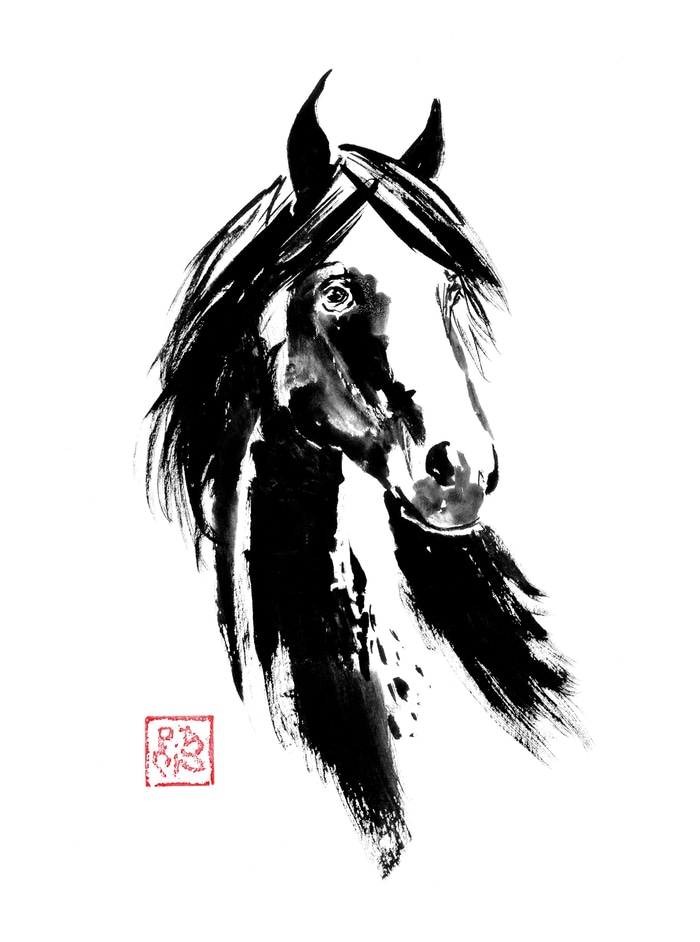 Tête de cheval von Péchane