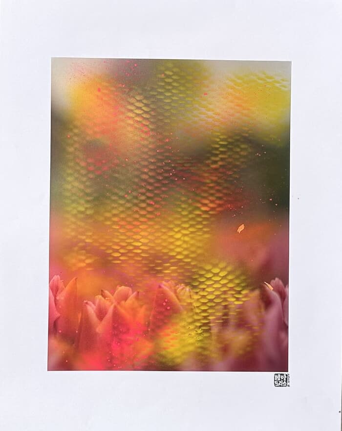 Flower XXIII par Beatrice Wolff