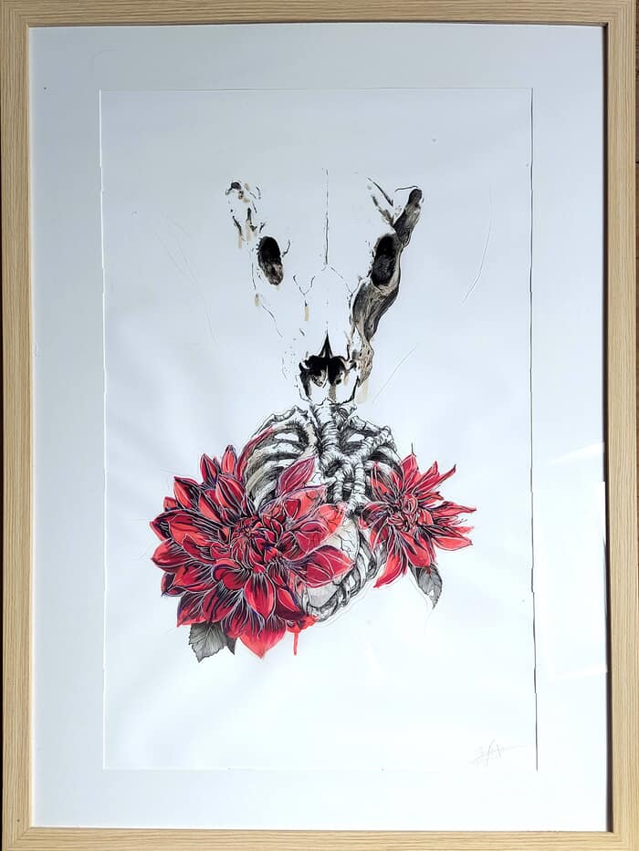 Des Dalias pour Algernon by Julie Balsaux