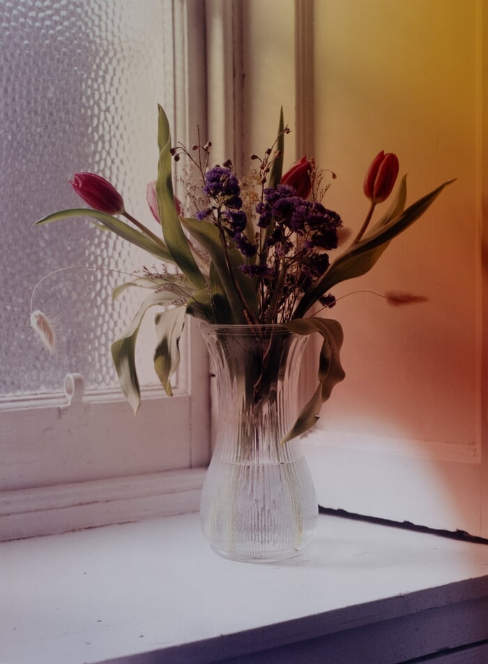 Recalling the colours of flowers (smaller edition) von Emile Kees