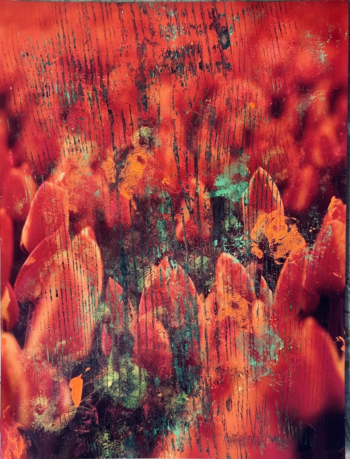 Flower II by Beatrice Wolff