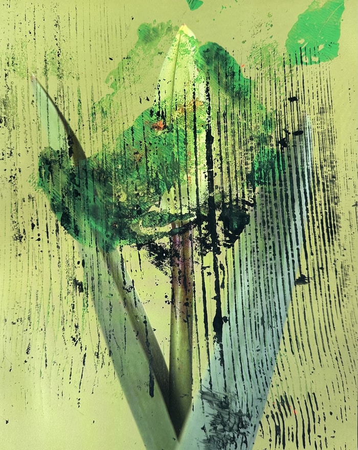 FlowerXIII by Beatrice Wolff