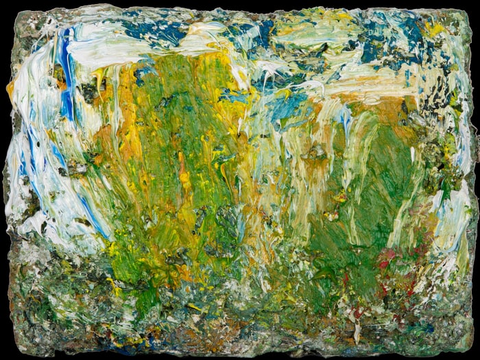 Trees on Dartmoor by Richard Cook