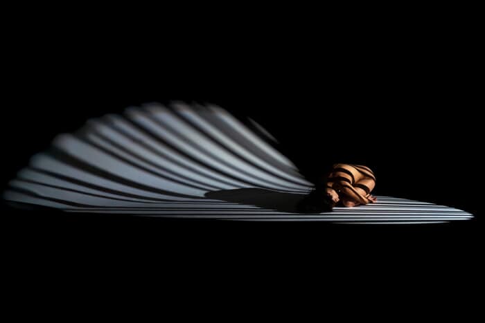 Borrowed Wings von Erhan Coral