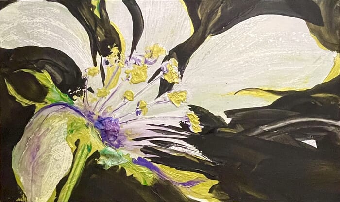 Fleur caraïbéenne von Arnaud Lorieau