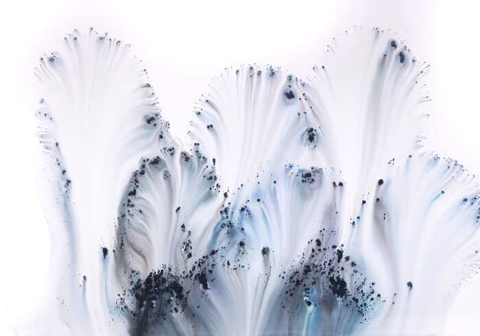 Nature 193 by Muriel Napoli