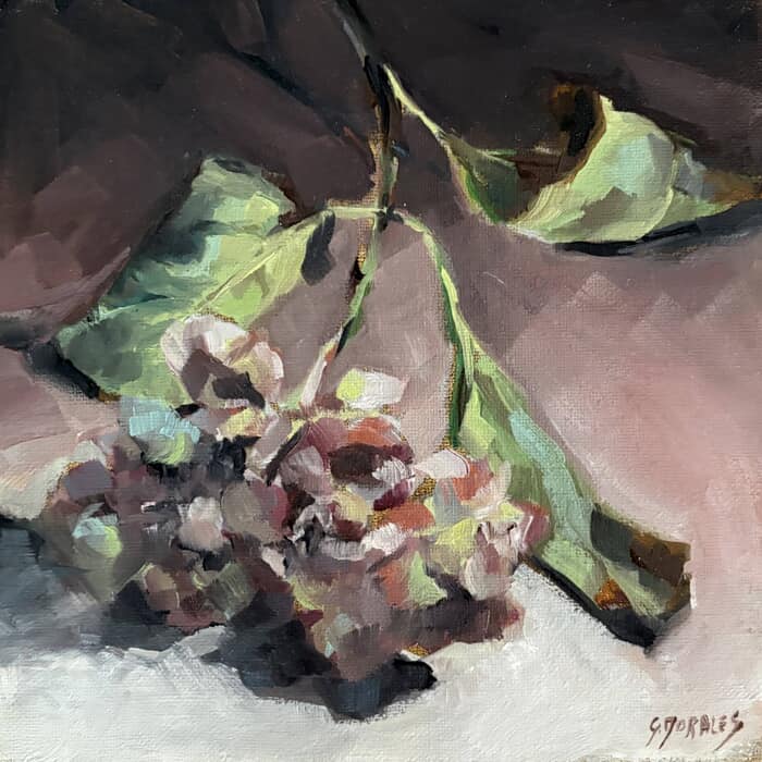 Hortensia fané 8 by Géraldine Morales