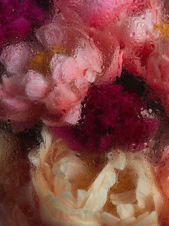 PEONIES VI von Andrea Zvadova