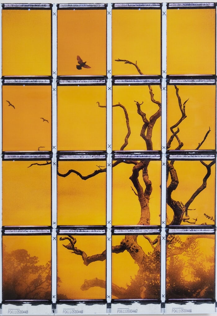 Doggerland 1 by Mark Tamer