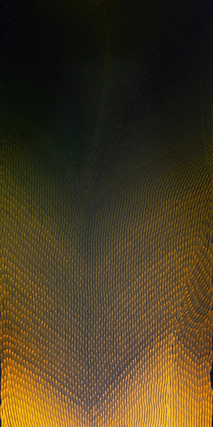 Indigo OR 01 2025  by Chris Pillot