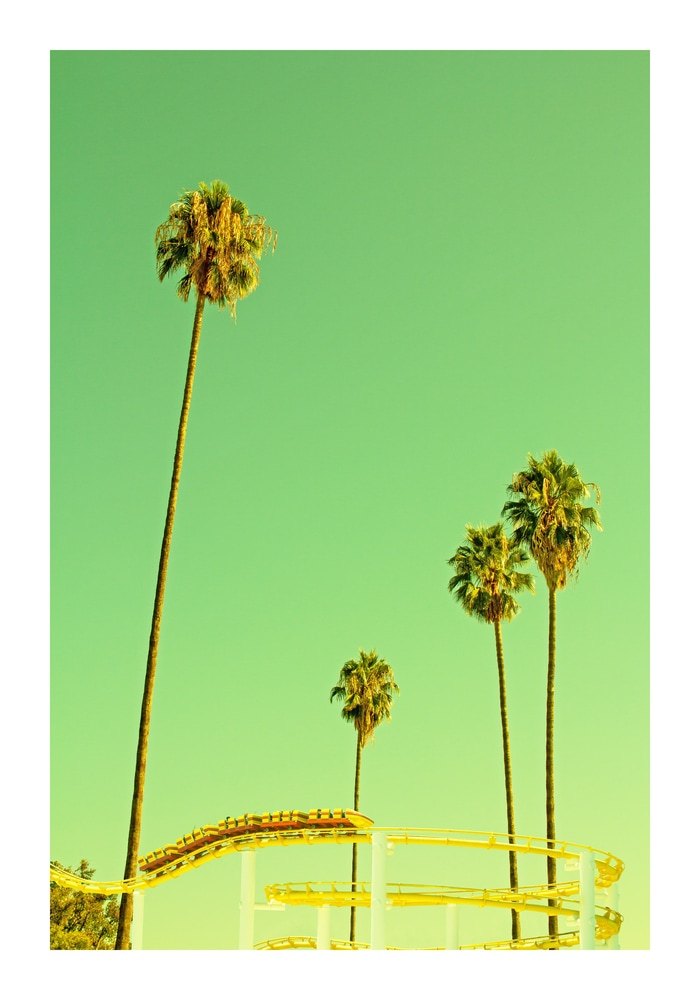 Roller Coaster & Palms by Rita Minichiello
