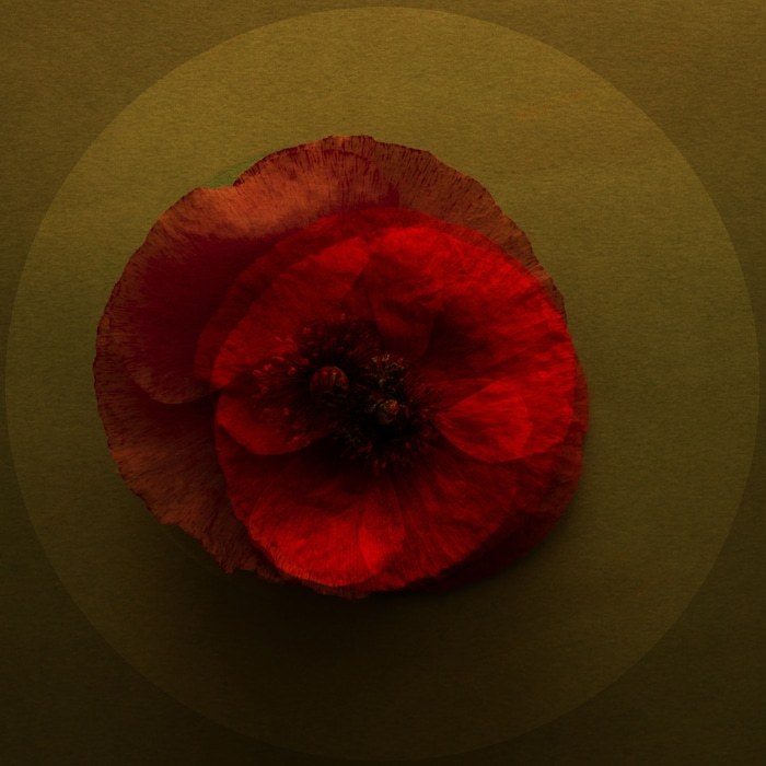 Mes Coeurs -05 par Emilie Moysson