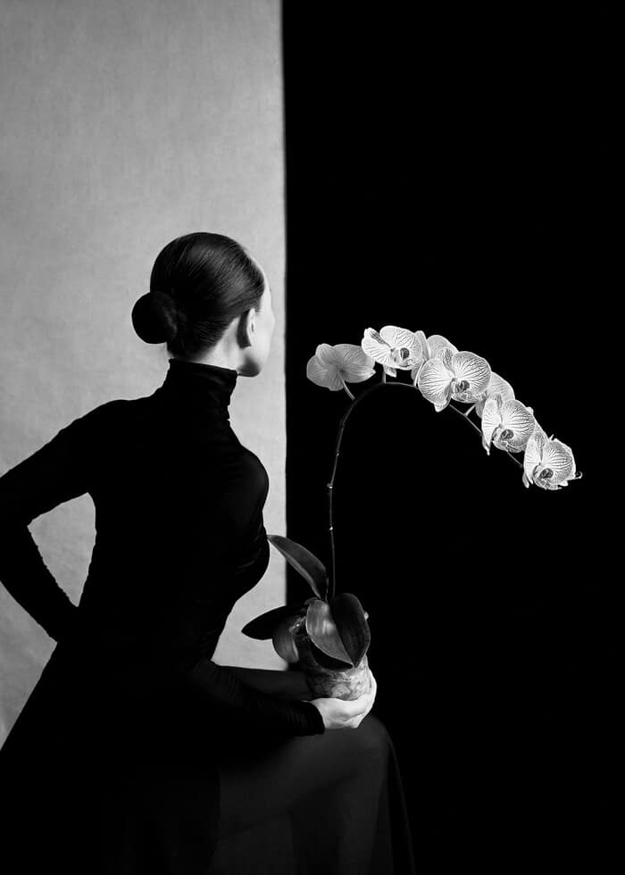 Yin-Yang Reverie​ par Xidong Luo