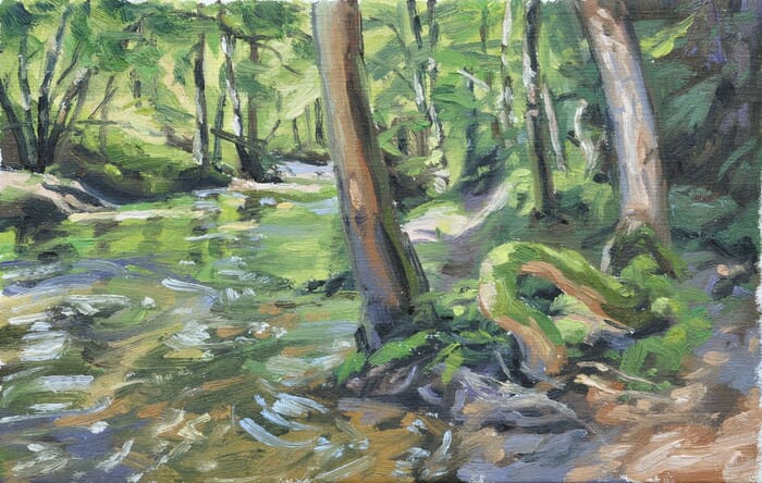 River in the heart of the forest von Anne Baudequin