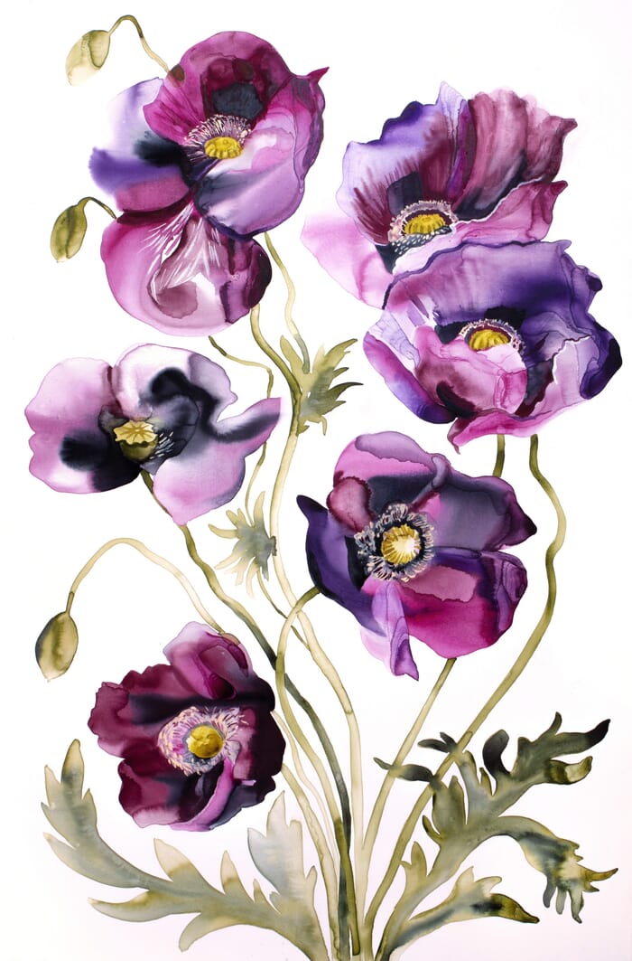 Poppies No. 8 von Elizabeth Becker