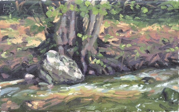 Rock at the River's edge von Anne Baudequin