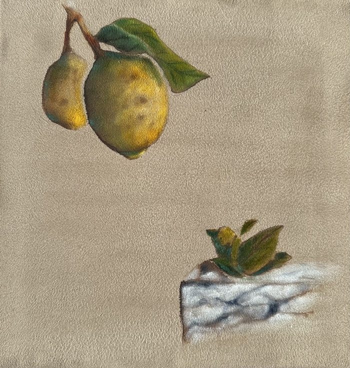 The Leaf That Learns To Look by Claudia Newman