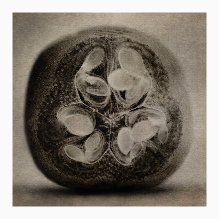 Still life #2 von Sovann Kim