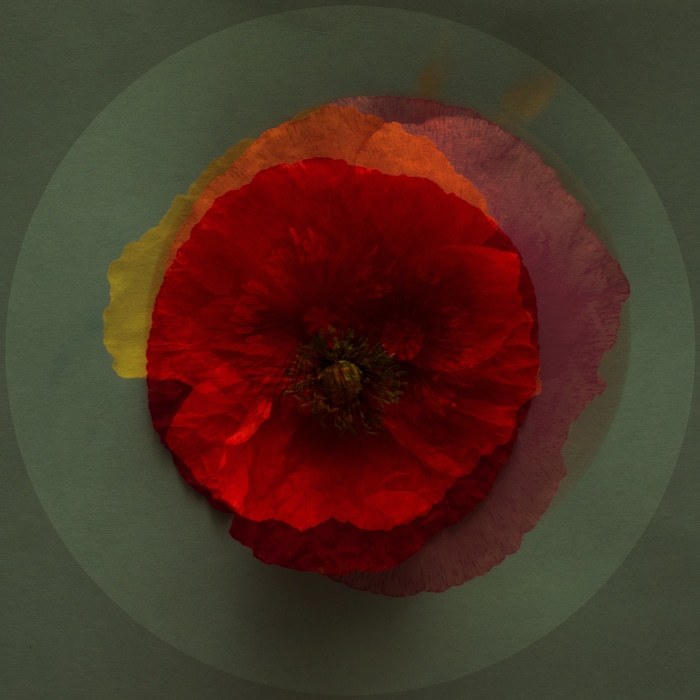 Mes Coeurs -01 par Emilie Moysson