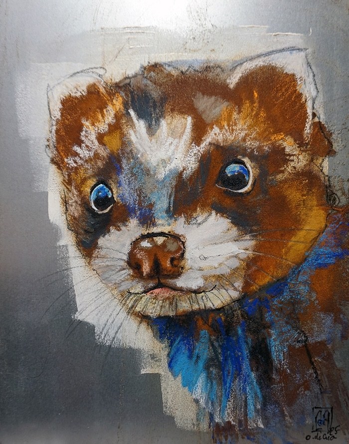 Furet by Olivier de Géa