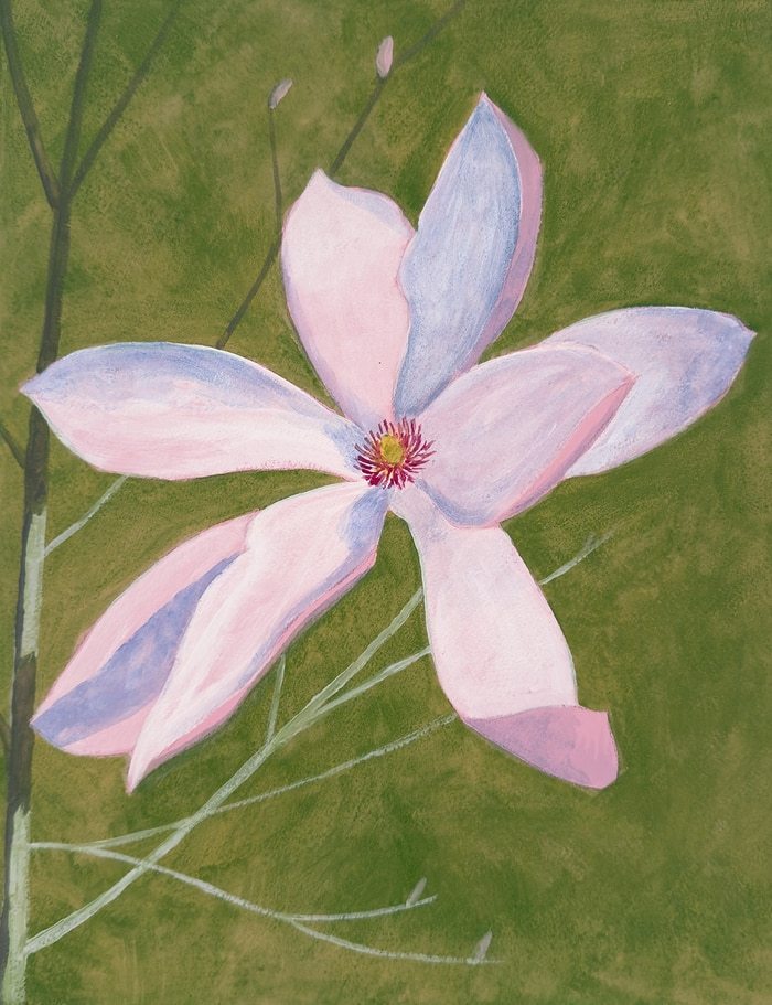 Magnolia Blossom von Michael Pfleghaar
