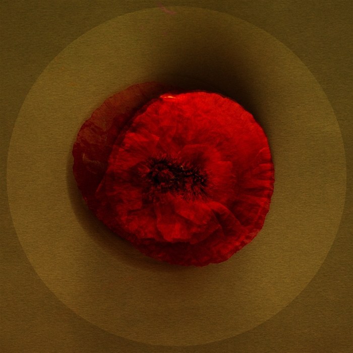 MesCoeurs-00 by Emilie Moysson