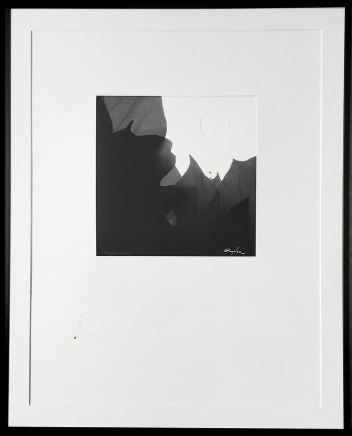 Tarsili - Mixed Media and Photography by Jérôme Pergolesi