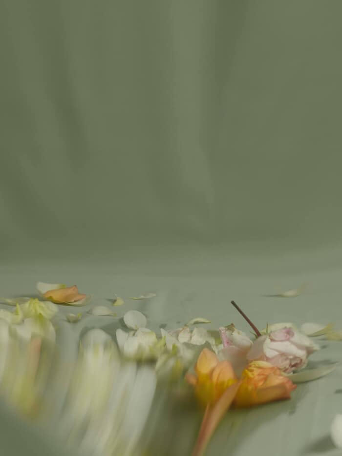 ENGLISH ROSES IV von Andrea Zvadova