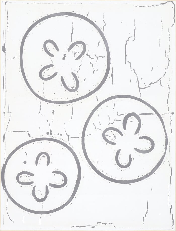 #592 Moon Jellies von Johan Soderstrom