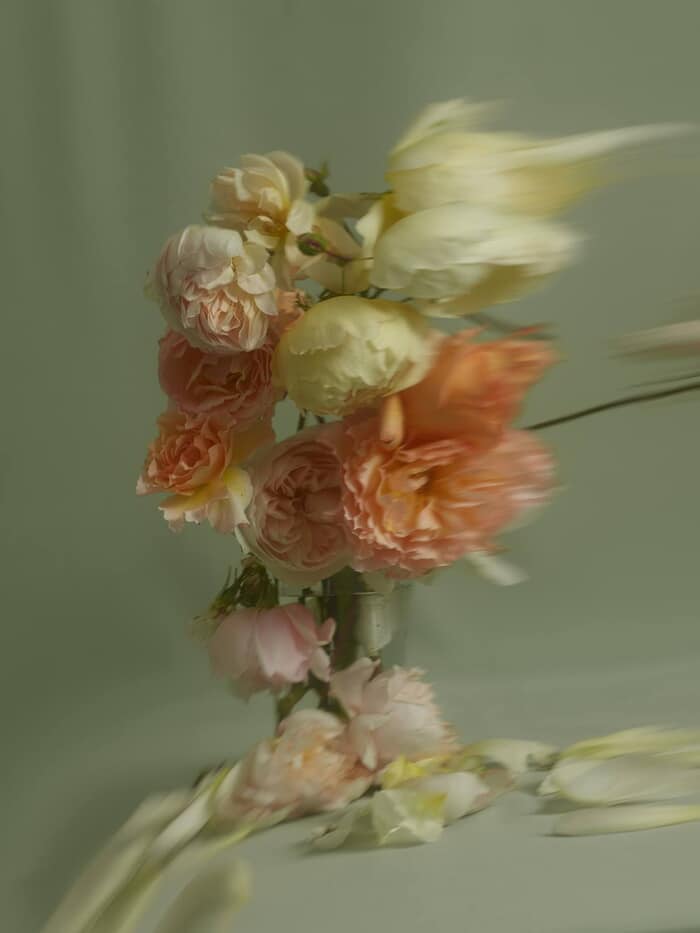 ENGLISH ROSES II von Andrea Zvadova