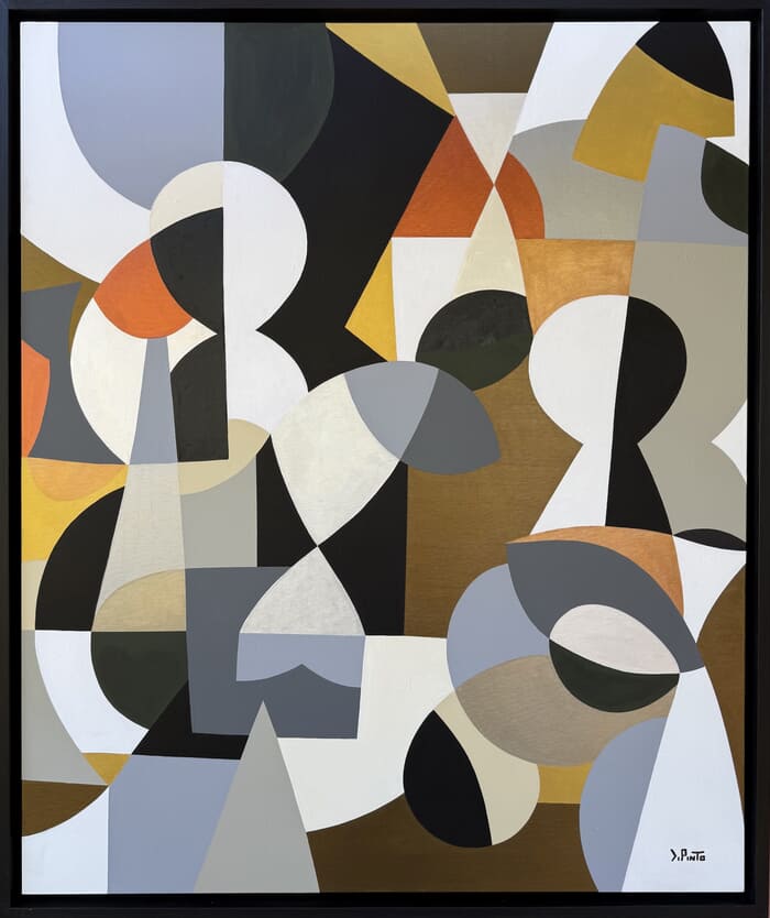 L’origine delle forme von Federico Pinto Schmid