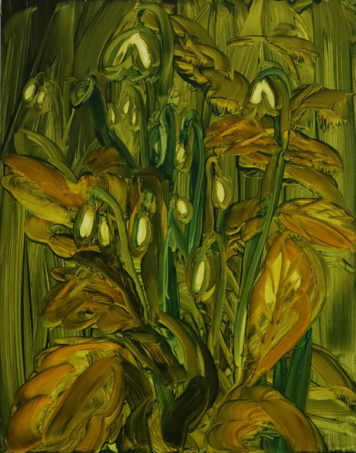 Woodland Snowdrops von Barbara Howey