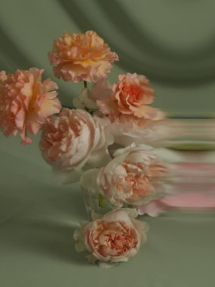 ENGLISH ROSES III von Andrea Zvadova