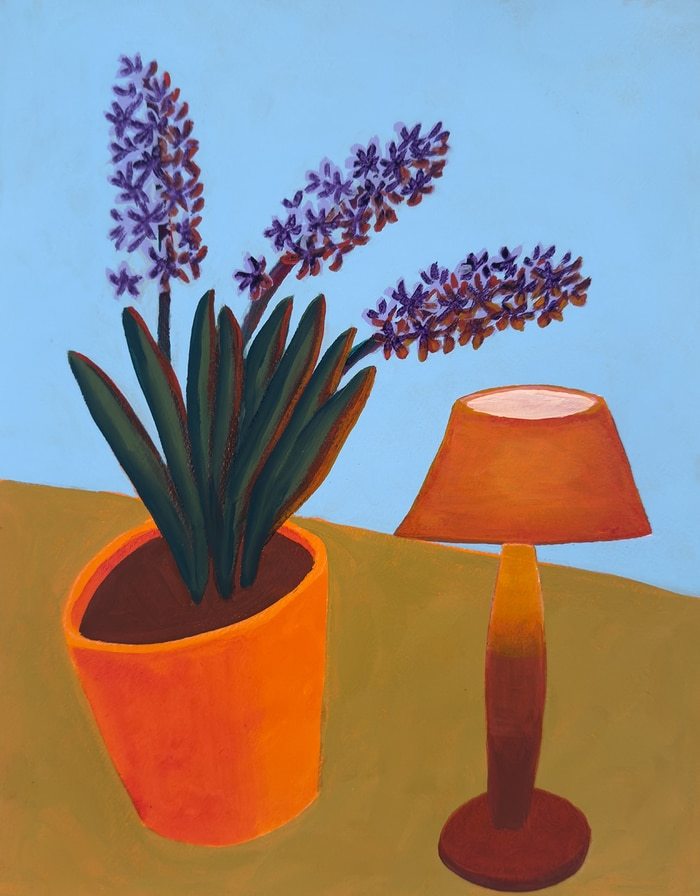 Hyacinth and Lamp von Michael Pfleghaar