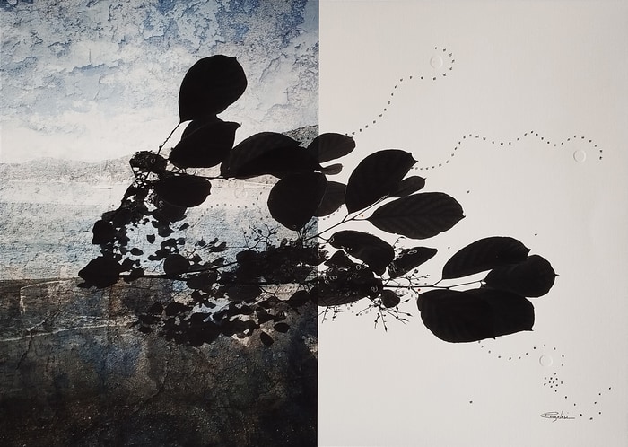 Iris - Mixed Media on Photography by Jérôme Pergolesi