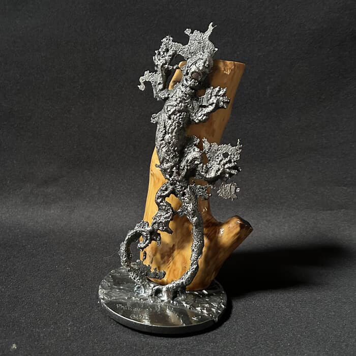 Salamandre 67-25 by Philippe Buil